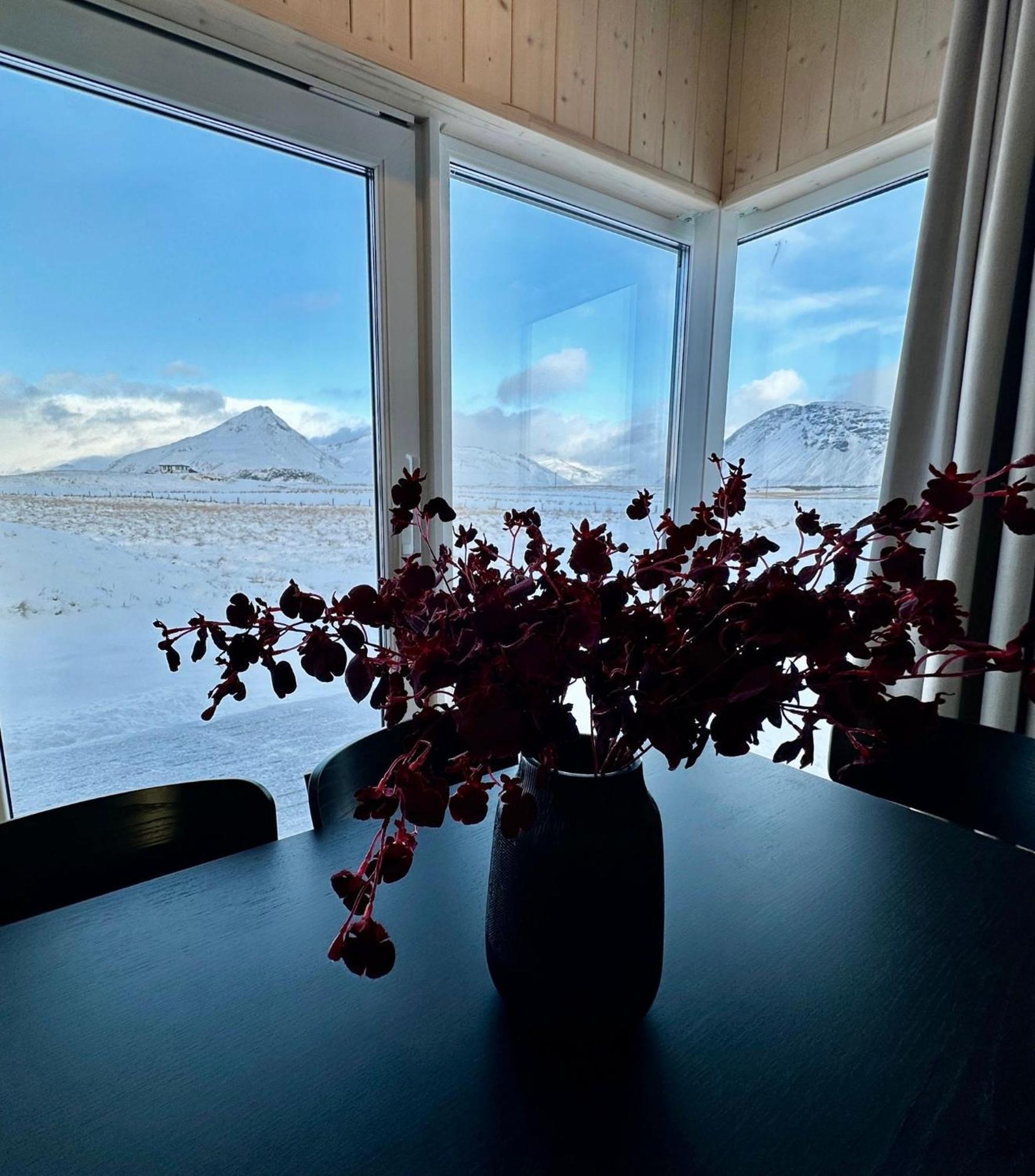 Rey Stays - House Höfn Eksteriør billede